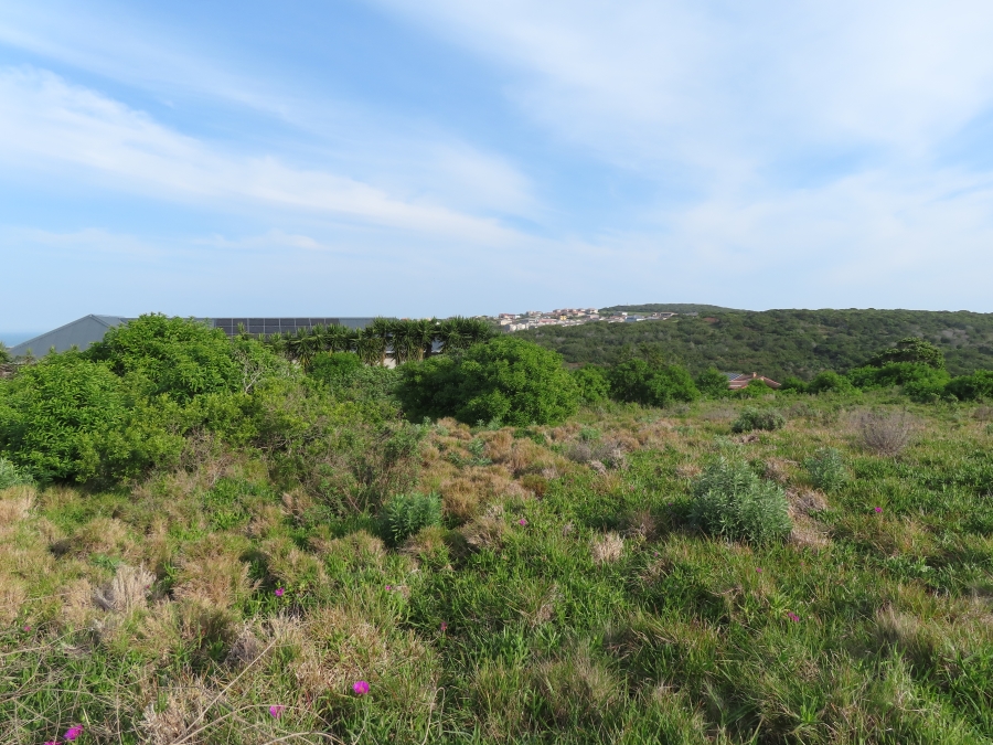 0 Bedroom Property for Sale in Forest Downs Eastern Cape